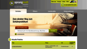 What Sprungbrett-bayern.de website looked like in 2018 (5 years ago)