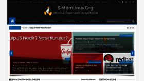 What Sistemlinux.org website looked like in 2018 (5 years ago)