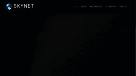 What Skynetnewmedia.com website looked like in 2018 (5 years ago)