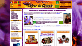 What Safrandugatinais.fr website looked like in 2018 (5 years ago)
