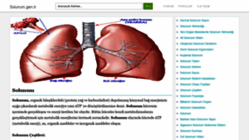 What Solunum.gen.tr website looked like in 2018 (6 years ago)
