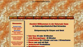 What Salzoase-bad-schandau.de website looked like in 2018 (5 years ago)