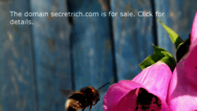 What Secretrich.com website looked like in 2018 (5 years ago)