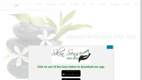 What Skinsense.co.za website looked like in 2018 (5 years ago)