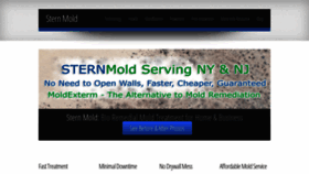 What Sternmold.com website looked like in 2019 (5 years ago)