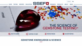 What Ssef.ch website looked like in 2019 (6 years ago)