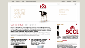 What Sccl.com website looked like in 2019 (5 years ago)