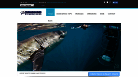 What Sharkbookings.com website looked like in 2019 (5 years ago)
