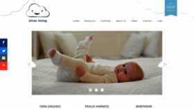 What Silverliningbaby.com website looked like in 2019 (5 years ago)