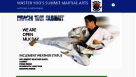 What Summittaekwondo.com website looked like in 2019 (5 years ago)