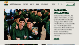 What Snellman.fi website looked like in 2019 (5 years ago)