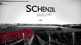 What Schenzel.com website looked like in 2019 (5 years ago)