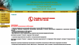 What Smolfoms.ru website looked like in 2019 (5 years ago)