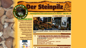 What Steinpilz-wismar.de website looked like in 2019 (5 years ago)