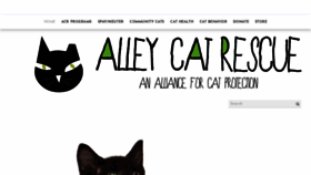 What Saveacat.org website looked like in 2019 (5 years ago)