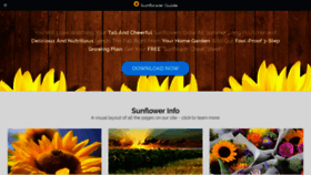 What Sunflowerguide.com website looked like in 2019 (5 years ago)