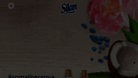 What Silan.ro website looked like in 2019 (5 years ago)