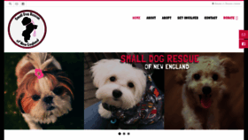 What Smalldogrescuene.org website looked like in 2019 (5 years ago)