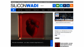 What Siliconwadi.fr website looked like in 2019 (5 years ago)