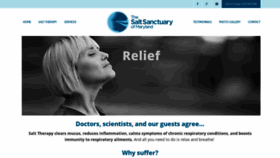 What Saltsanctuarymd.com website looked like in 2019 (5 years ago)