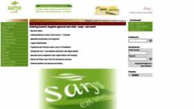 What Sarys.ch website looked like in 2019 (5 years ago)