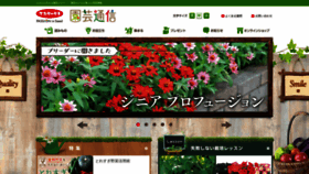 What Sakata-tsushin.com website looked like in 2019 (4 years ago)