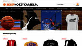 What Sklepkoszykarski.pl website looked like in 2019 (4 years ago)