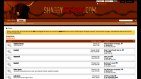 What Shaggytexas.com website looked like in 2019 (4 years ago)