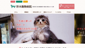 What Sasaki-animal.com website looked like in 2019 (4 years ago)