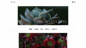 What Smgsucculents.com website looked like in 2019 (4 years ago)