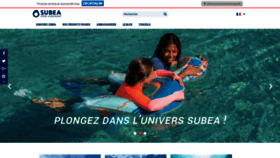 What Subea.fr website looked like in 2019 (4 years ago)