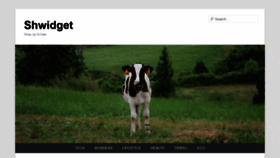 What Shwidget.com website looked like in 2019 (4 years ago)