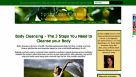 What Springclean-cleanse.com website looked like in 2019 (4 years ago)
