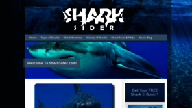 What Sharksider.com website looked like in 2019 (4 years ago)