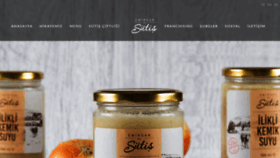 What Sutis.com.tr website looked like in 2019 (5 years ago)