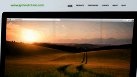 What Symnutrition.com website looked like in 2019 (4 years ago)