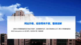 What Shca.org.cn website looked like in 2019 (4 years ago)