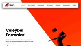 What Saglamspor.net website looked like in 2019 (4 years ago)
