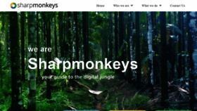 What Sharpmonkeys.co.uk website looked like in 2019 (4 years ago)