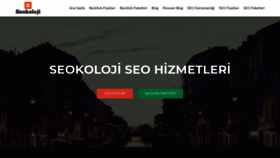 What Seokoloji.com website looked like in 2019 (4 years ago)