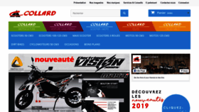What Scooter-collard.com website looked like in 2019 (4 years ago)