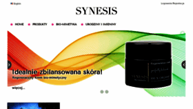 What Synesis.pl website looked like in 2019 (4 years ago)