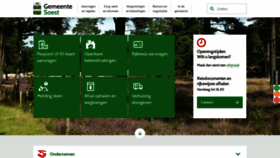 What Soest.nl website looked like in 2019 (4 years ago)
