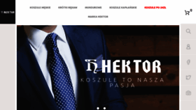 What Sklep-hektor.pl website looked like in 2019 (4 years ago)
