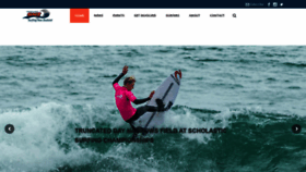 What Surfingnz.co.nz website looked like in 2019 (4 years ago)