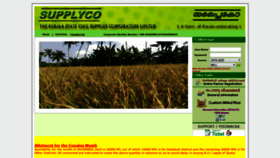 What Supplycopaddy.in website looked like in 2019 (4 years ago)