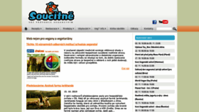 What Soucitne.cz website looked like in 2019 (4 years ago)
