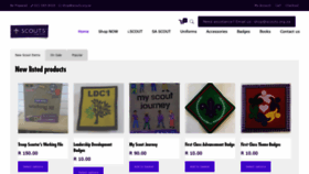 What Shop.scouts.org.za website looked like in 2019 (4 years ago)