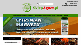 What Sklepagnex.pl website looked like in 2019 (4 years ago)