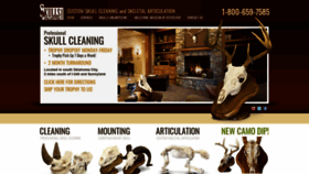 What Skullcleaning.com website looked like in 2019 (4 years ago)